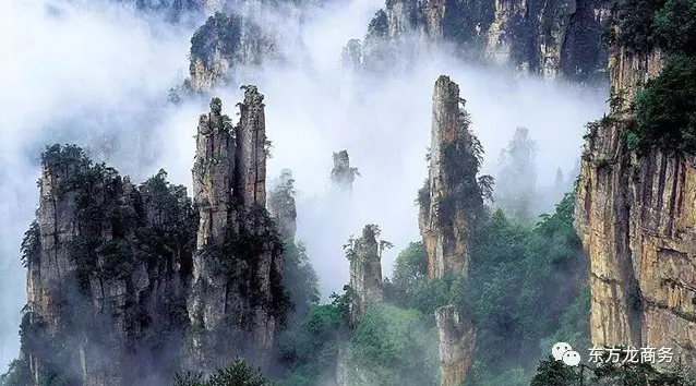 東方龍商務(wù)與張家界經(jīng)濟(jì)開發(fā)區(qū)達(dá)成委托招商引資合作，助力打造生態(tài)工業(yè)新城
