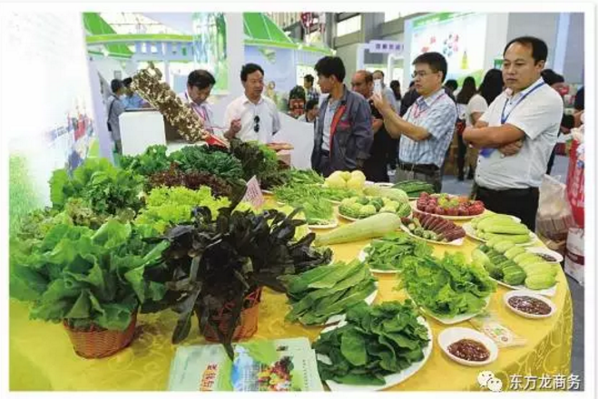 食品電商智慧城全國(guó)布點(diǎn)投資選址項(xiàng)目 食品電商智慧城全國(guó)布點(diǎn)投資選址項(xiàng)目