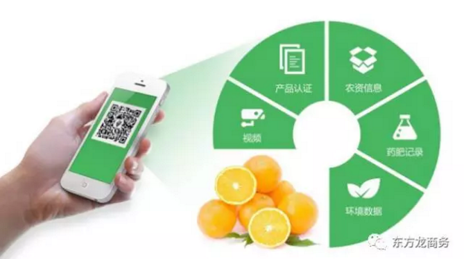 食品電商智慧城全國(guó)布點(diǎn)投資選址項(xiàng)目 食品電商智慧城全國(guó)布點(diǎn)投資選址項(xiàng)目