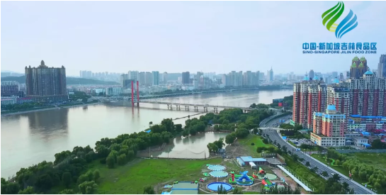 全力助推吉林(中國-新加坡)食品區(qū)委托招商引資,加快打造世界級安全食品生產(chǎn)示范區(qū)! 全力助推吉林(中國-新加坡)食品區(qū)委托招商引資,加快打造世界級安全食品生產(chǎn)示范區(qū)!