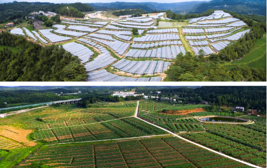 全力助推四川巴中恩陽區(qū)委托招商引資，合力打造產(chǎn)業(yè)新城