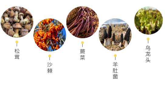 【甘南政府招商推介】立足生態(tài)優(yōu)勢，推動(dòng)綠色發(fā)展，打造青藏高原上的生態(tài)文明高地