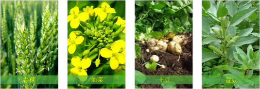 【甘南政府招商推介】立足生態(tài)優(yōu)勢，推動(dòng)綠色發(fā)展，打造青藏高原上的生態(tài)文明高地