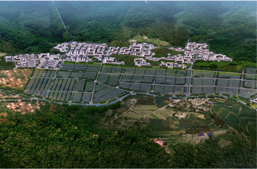 集團全力助推福建寧德周寧縣委托招商引資，強化特色產業實力，為全縣高質量發展增添新動力