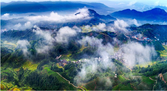 集團全力助推福建寧德周寧縣委托招商引資，強化特色產業實力，為全縣高質量發展增添新動力