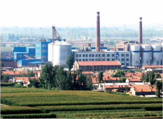 集團(tuán)全力助推內(nèi)蒙古自治區(qū)通遼市委托招商引資，強(qiáng)勢打造五大產(chǎn)業(yè)集群高質(zhì)量發(fā)展新格局