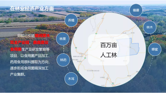 集團全力助推黑龍江齊齊哈爾拜泉縣委托招商引資，立足資源優(yōu)勢，開辟產(chǎn)業(yè)集群高質(zhì)量發(fā)展新高地