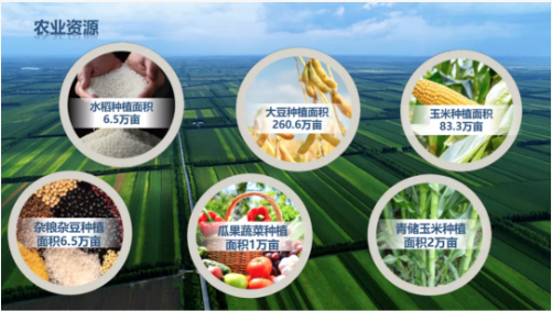 集團全力助推黑龍江齊齊哈爾拜泉縣委托招商引資，立足資源優(yōu)勢，開辟產(chǎn)業(yè)集群高質(zhì)量發(fā)展新高地