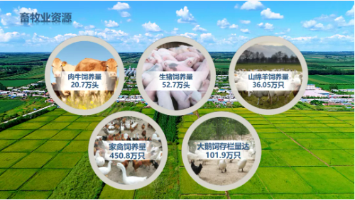 集團全力助推黑龍江齊齊哈爾拜泉縣委托招商引資，立足資源優(yōu)勢，開辟產(chǎn)業(yè)集群高質(zhì)量發(fā)展新高地