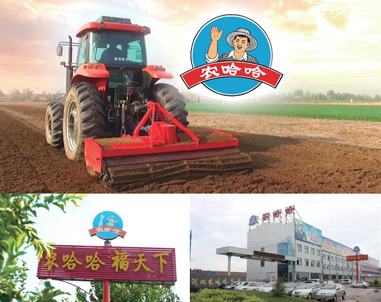 集團全力助推河北石家莊深澤縣委托招商引資，立足“一主兩優兩傳統”，加快構建現代產業體系