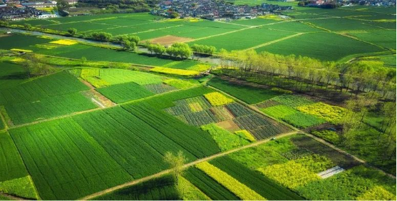 集團全力助推山東泰安岱岳區(qū)委托招商引資，擴大產(chǎn)業(yè)集聚規(guī)模