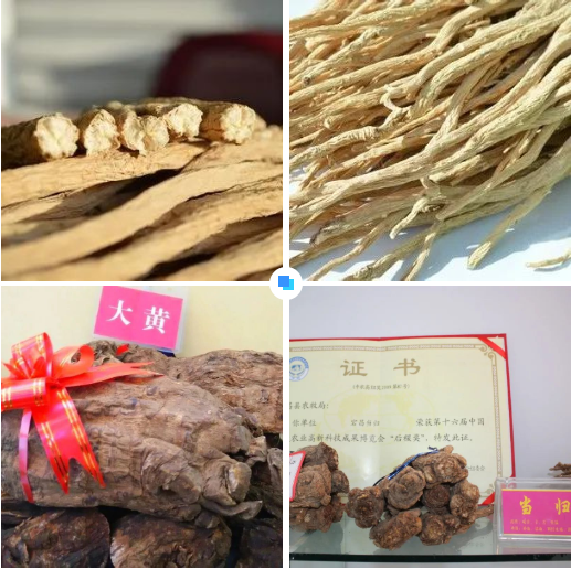 集團全力助推甘肅隴南宕昌縣委托招商引資，以特色優勢資源引領，培育綠色產業高質量發展！