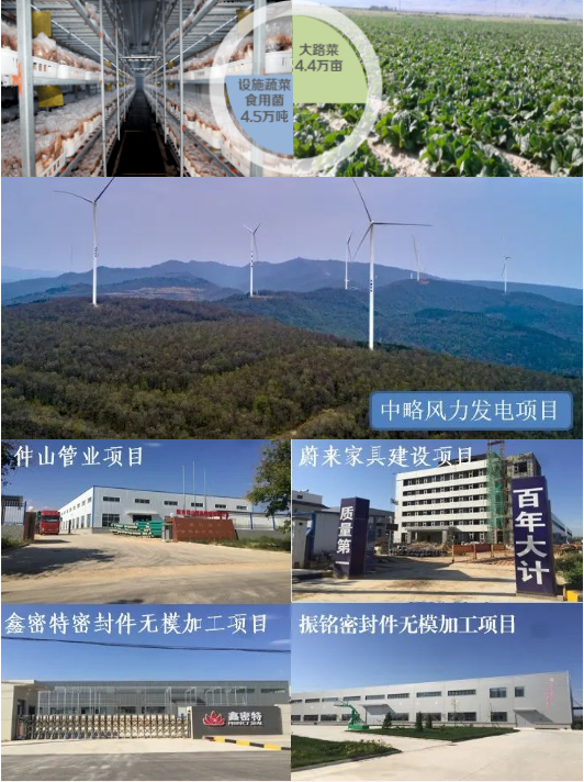 集團(tuán)全力助推陜西淳化縣委托招商引資，打造優(yōu)勢(shì)特色產(chǎn)業(yè)集群