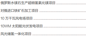 集團全力助推黑龍江省同江市委托招商引資，充分挖掘開發潛能，再次綻放邊陲魅力