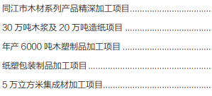 集團全力助推黑龍江省同江市委托招商引資，充分挖掘開發潛能，再次綻放邊陲魅力
