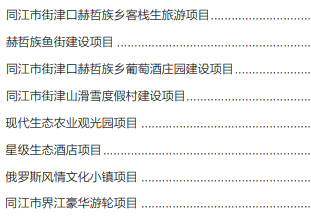 集團全力助推黑龍江省同江市委托招商引資，充分挖掘開發潛能，再次綻放邊陲魅力