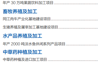 集團全力助推黑龍江省同江市委托招商引資，充分挖掘開發潛能，再次綻放邊陲魅力