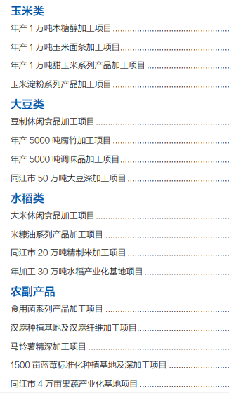 集團全力助推黑龍江省同江市委托招商引資，充分挖掘開發潛能，再次綻放邊陲魅力