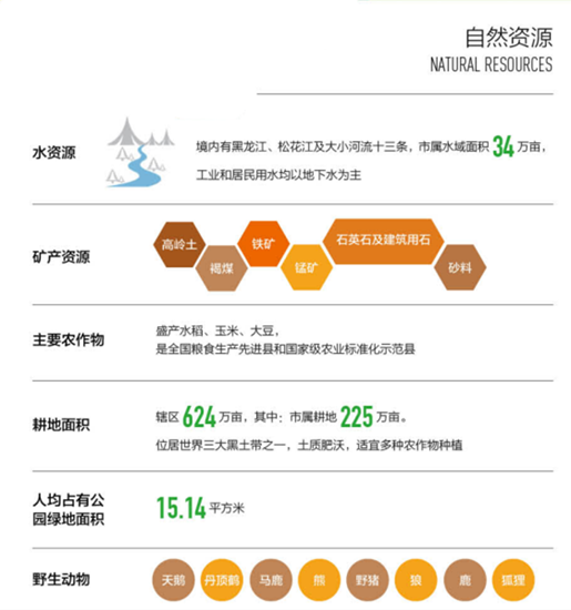 集團全力助推黑龍江省同江市委托招商引資，充分挖掘開發潛能，再次綻放邊陲魅力
