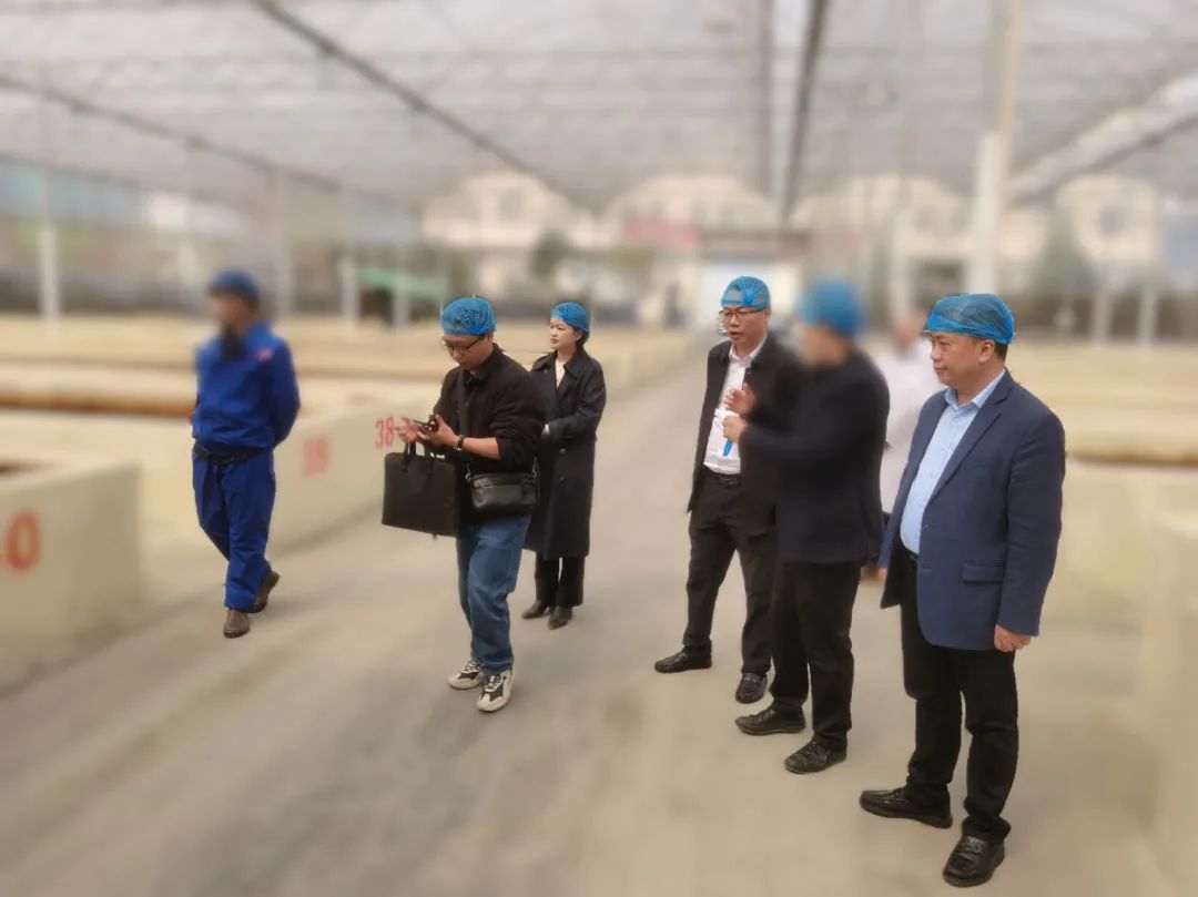 農業產業化龍頭企業，20余年生產經驗！四川某地方政府成功對接老牌調味品擴建投資選址項目