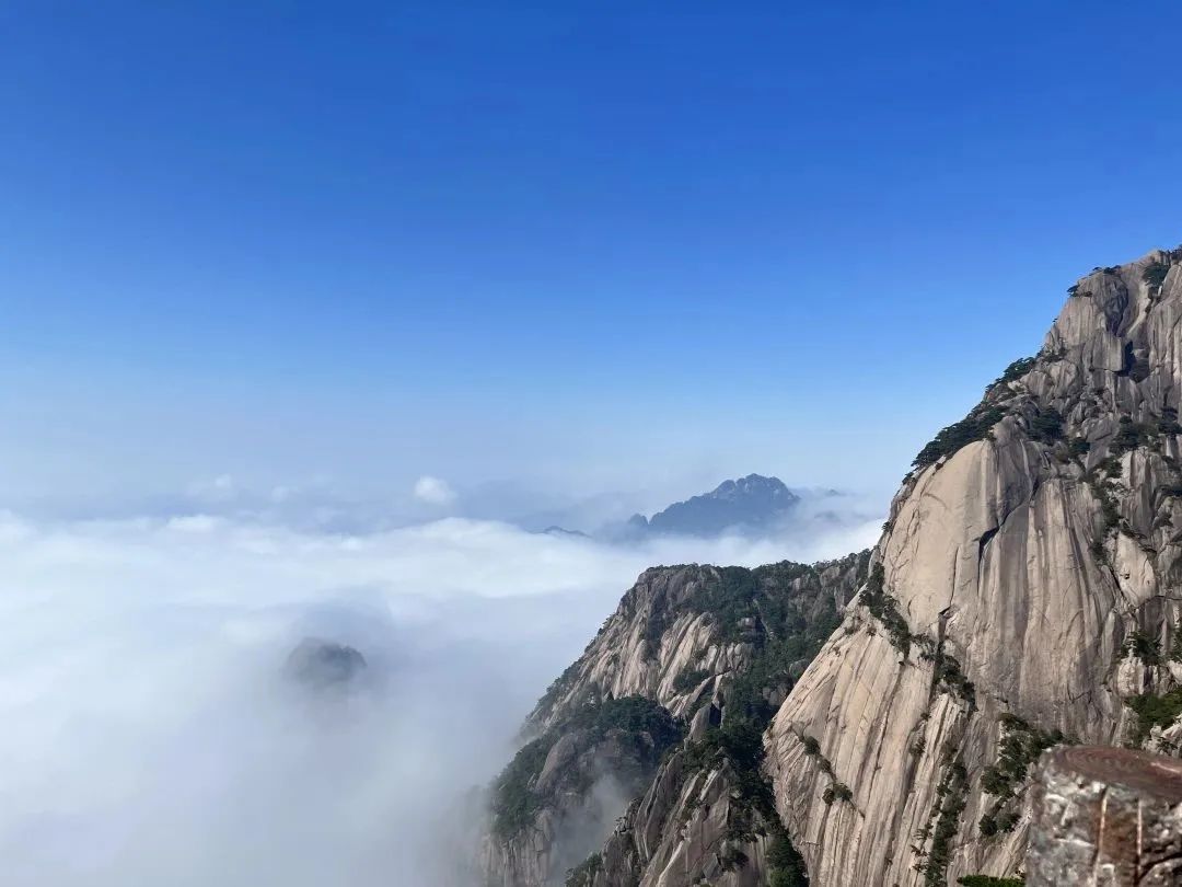 東方龍商務(wù)與春天有個(gè)約會(huì)！集團(tuán)100余人赴安徽黃山“團(tuán)建”，太嗨了！“奔跑二季度”——我們準(zhǔn)備好了！