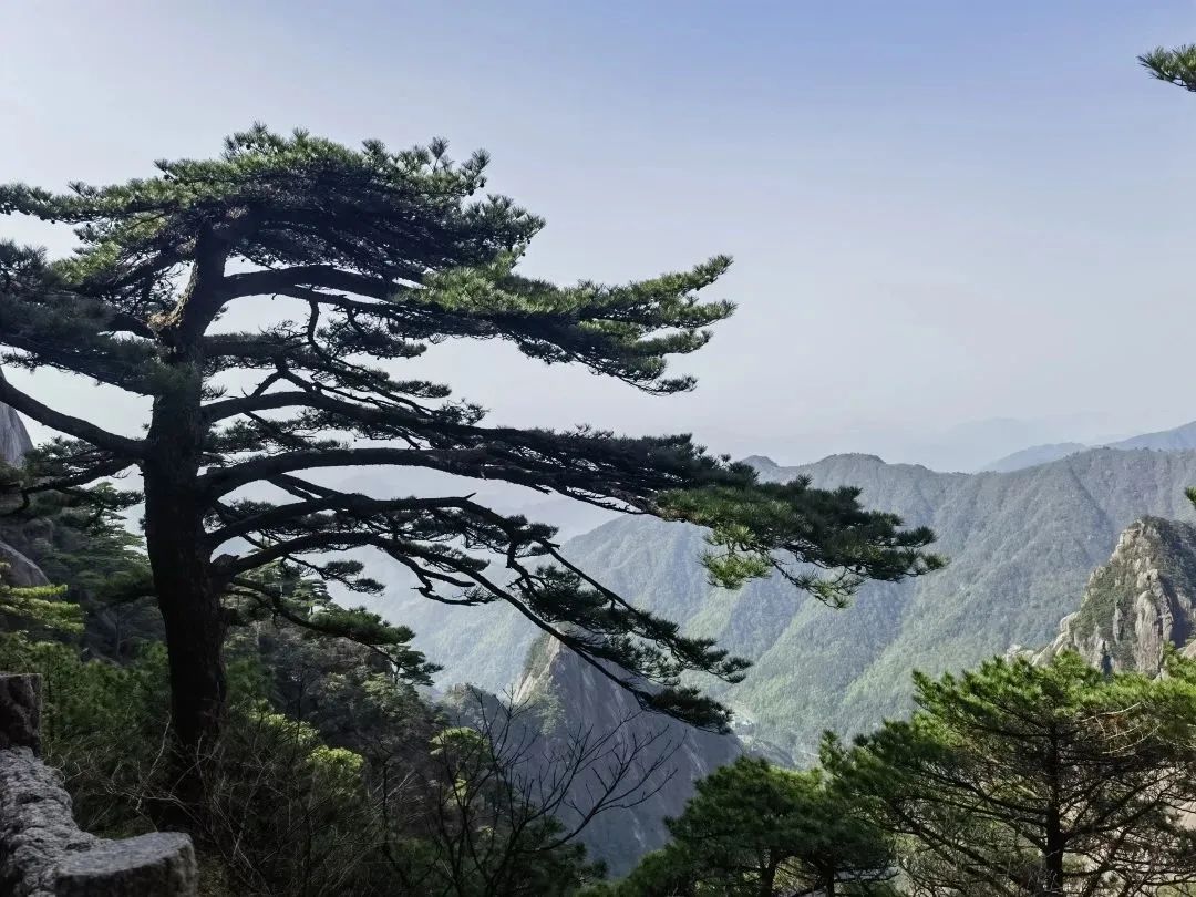 東方龍商務(wù)與春天有個(gè)約會(huì)！集團(tuán)100余人赴安徽黃山“團(tuán)建”，太嗨了！“奔跑二季度”——我們準(zhǔn)備好了！