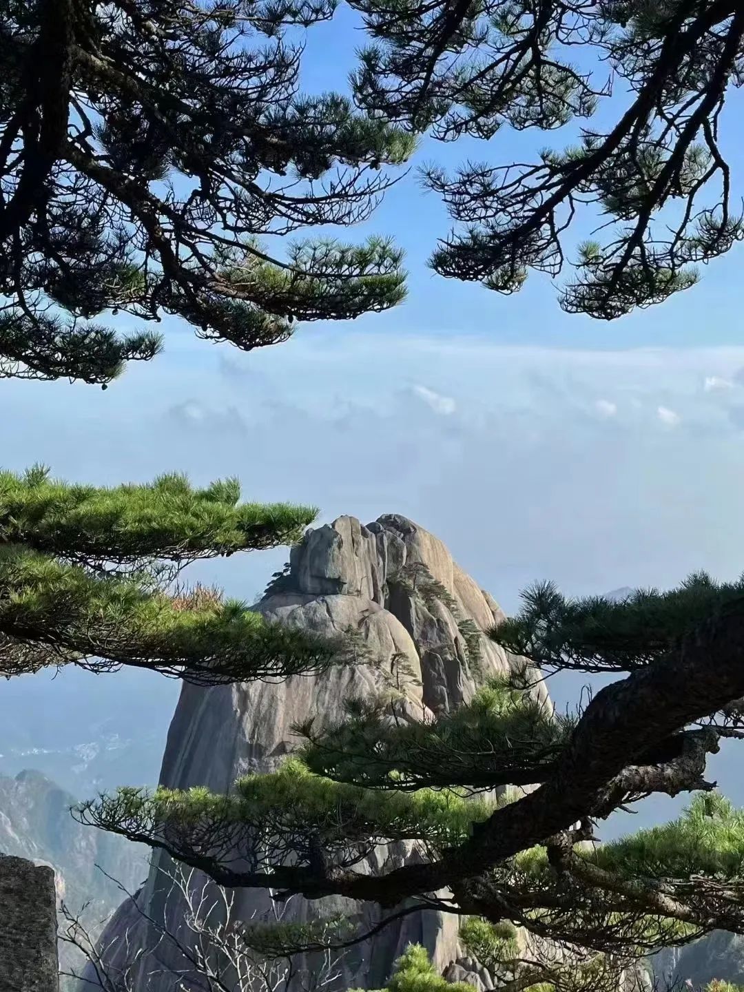 東方龍商務(wù)與春天有個(gè)約會(huì)！集團(tuán)100余人赴安徽黃山“團(tuán)建”，太嗨了！“奔跑二季度”——我們準(zhǔn)備好了！