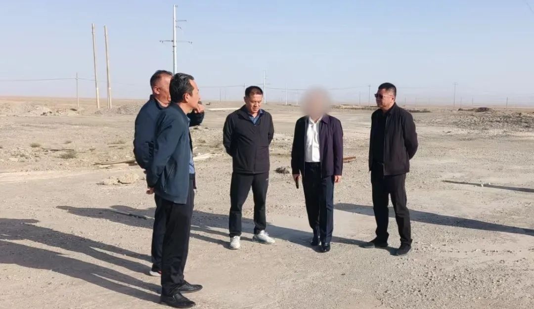 超百項成熟案例，掌握全球一流技術！大型集團新型環保建材擴建投資選址項目成功落戶甘肅酒泉