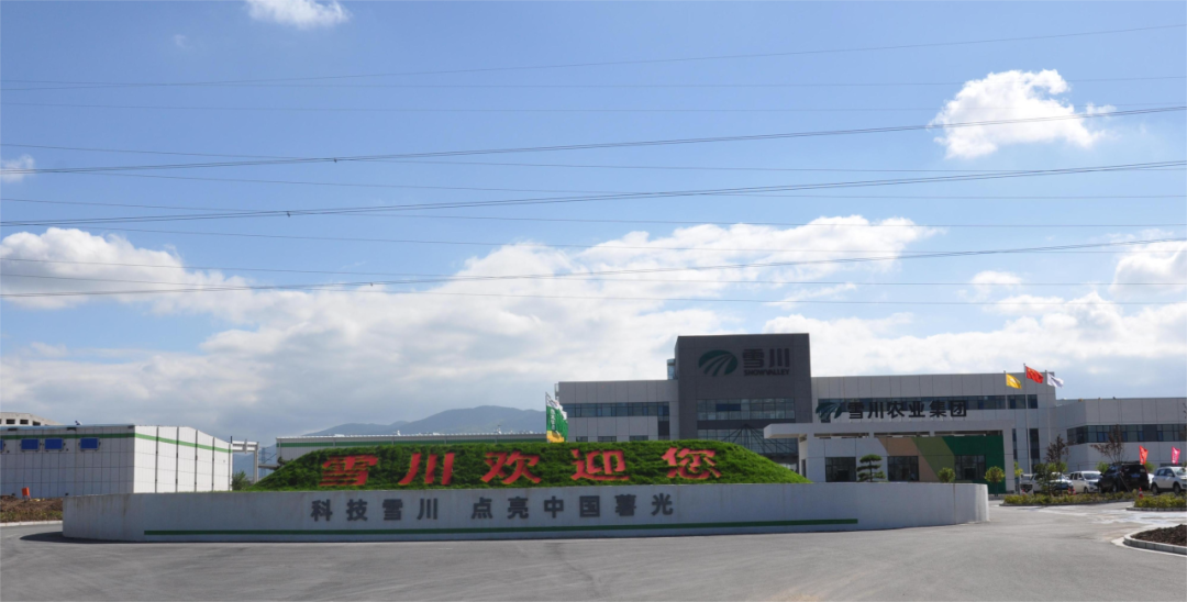 【2023年度運營服務地圖】總投資達1162.38億的優質項目精準落地！1000個項目對接量圓滿達成！