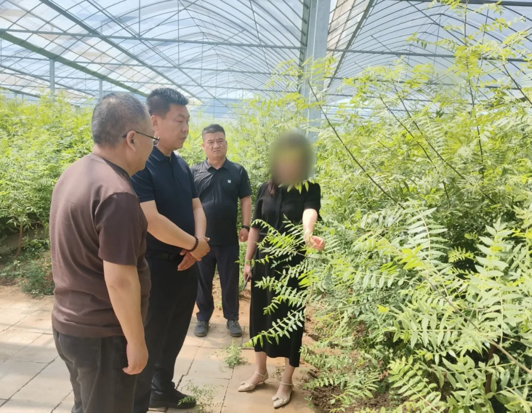 投資7億，國有企業、省龍頭企業！甘肅某地方政府實地對接國企高品質植物油生產擴建投資選址項目