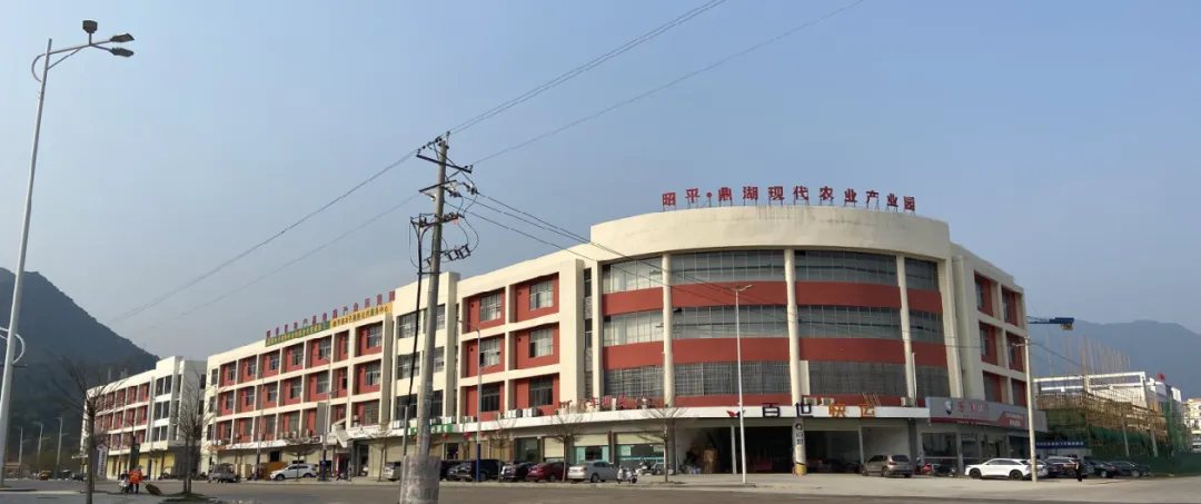 集團全力助推廣西賀州昭平縣委托招商引資，助力產業蝶變升級！